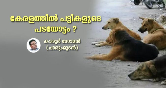 കേരളത്തിൽ പട്ടികളുടെ പടയോട്ടം ?