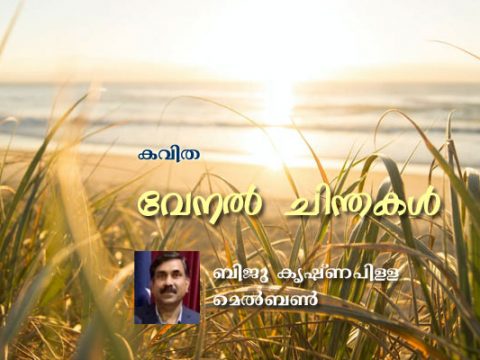 വേനൽ ചിന്തകൾ