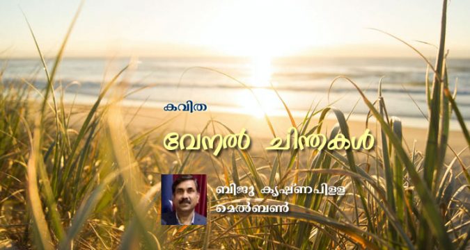 വേനൽ ചിന്തകൾ